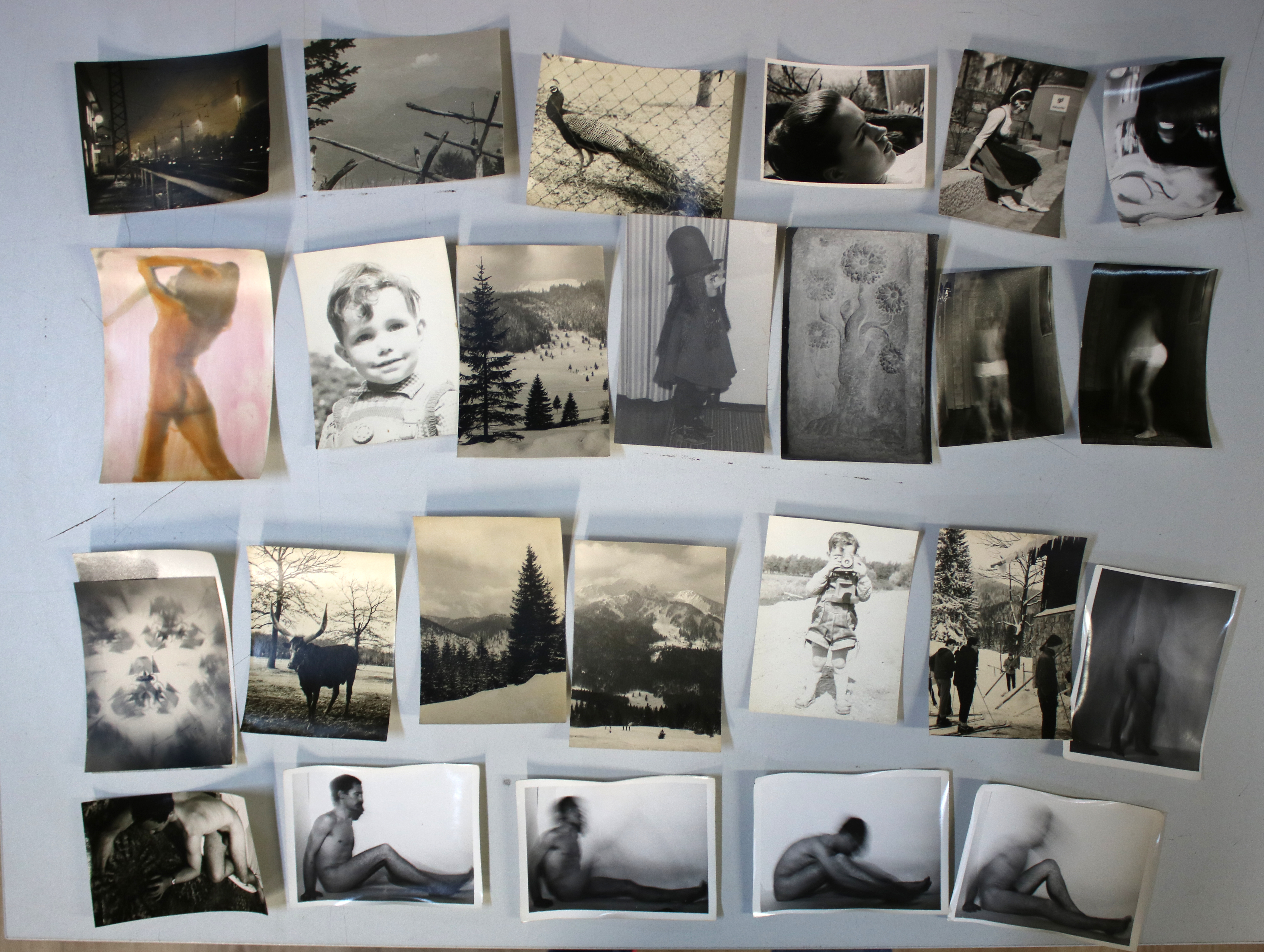 Sammlung | Bild Nr.8